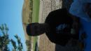 Refael