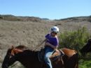 Ellie, hmmm, how can i get the horse to move??